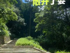 -黄埔油麻山森林公园