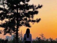 -汉长安城未央宫国家考古遗址公园