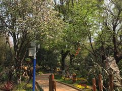 -云南民族大观园