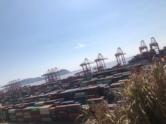 -洋山深水港
