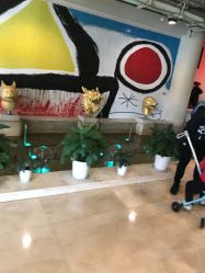 -沈阳市妇婴医院