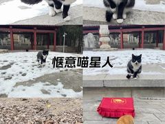 -四门塔风景区