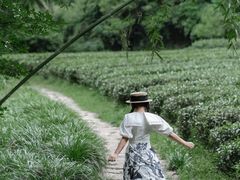 -九曲溪竹筏码头