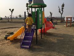 -明珠湖天鹅苑·农家菜馆