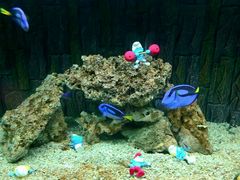 -北戴河圣蓝海洋公园