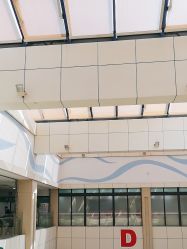 -复旦大学附属儿科医院