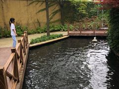 -热带风暴水上乐园