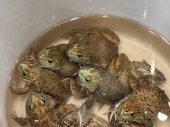 -飞尝蚝·顺德菜·鱼生(顺德总店)