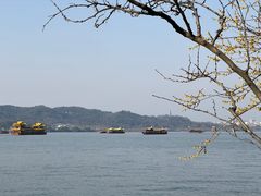 -浙江西子宾馆·牡丹厅