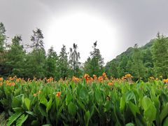 -重庆彩云湖湿地公园