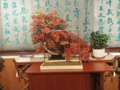 -新川办餐厅