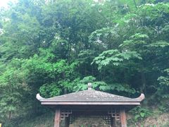 -火炉山森林公园