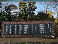 -美的鹭湖森林度假区