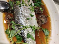 -大荣华酒楼(元朗老店)