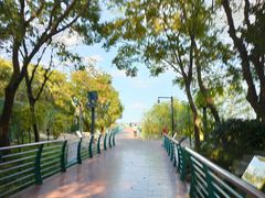 -上海吴淞炮台湾国家湿地公园
