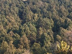 -云龙山