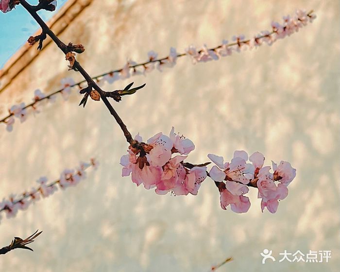 三里河公园图片