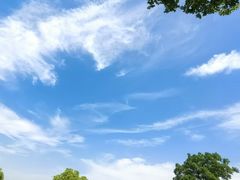 -浙江西子宾馆·牡丹厅