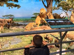 -国家自然博物馆