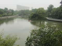 -听松楼-中餐厅.家宴(红梅公园店)
