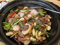 -新合益乡村农庄