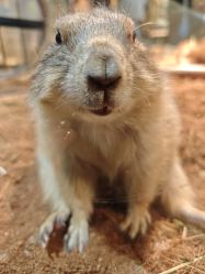 -Zoolung Zoolung动物主题公园(海信广场店)