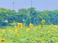 -长廊欢乐园