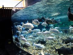 -成都浩海立方海洋公园