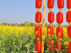 -中国天府农业博览园