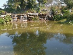-东莞植物园