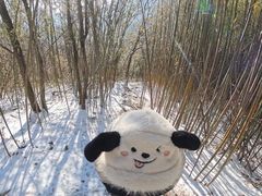 -安吉龙王山风景区