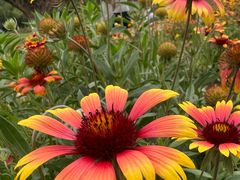 -汉长安城未央宫国家考古遗址公园