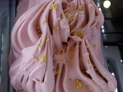 古法酸梅汤-歎雪糕低糖低脂Gelato冰淇淋