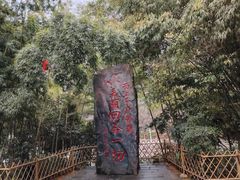 -西江千户苗寨-百年吊脚楼