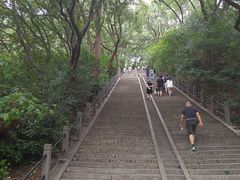 -上海佘山国家森林公园西佘山园