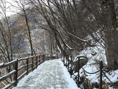 -少华山国家森林公园