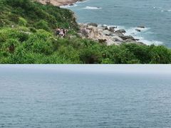 -广东惠东海龟国家级自然保护区