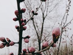 -绿堤公园
