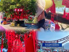 -温州乐园