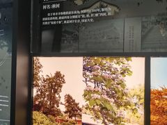 -晋祠博物馆