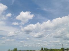 -白渔泡湿地公园