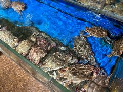 -鹰龙海畔度假酒店(咸祥店)