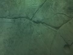 -白鹤梁水下博物馆