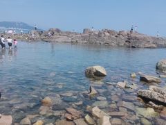 -海合安青岛极地海洋公园