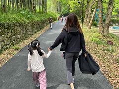 -东明山森林公园