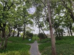 -徐家汇源景区-衡山公园