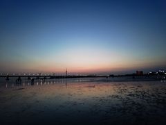 -南汇新城海滩