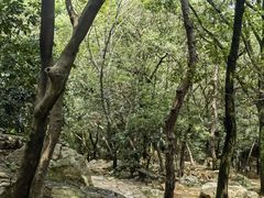 -虞山风景区