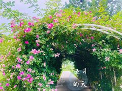 -金岳台私汤温泉度假山庄·创意餐厅(昌平十三陵店)