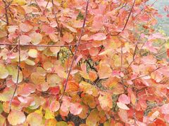 -香山公园-东宫门售票处